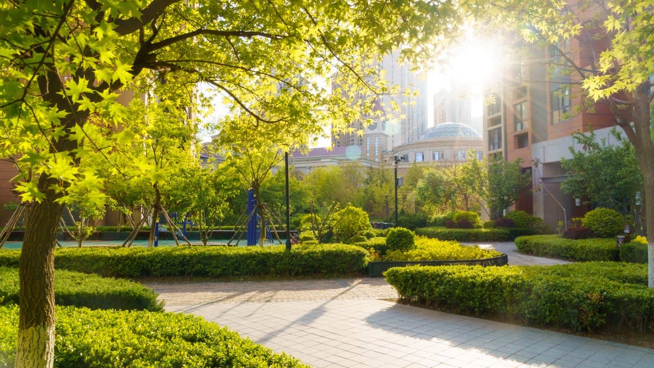 Condo & HOA Services by ZLS Contractors